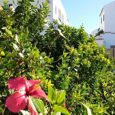 Antonella's House- Parque Don José - Free Wifi