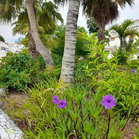 Parque Don Jose, Casa Antonella Lejlighed Costa del Silencio